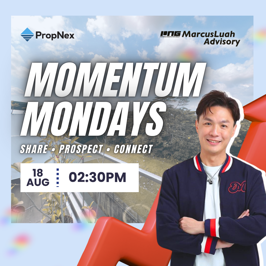 momemtum monday