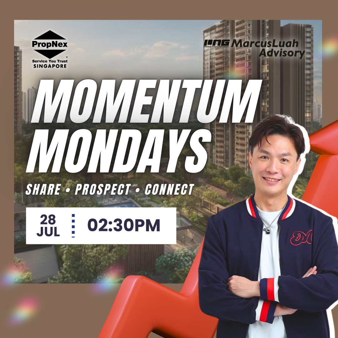 momemtum monday