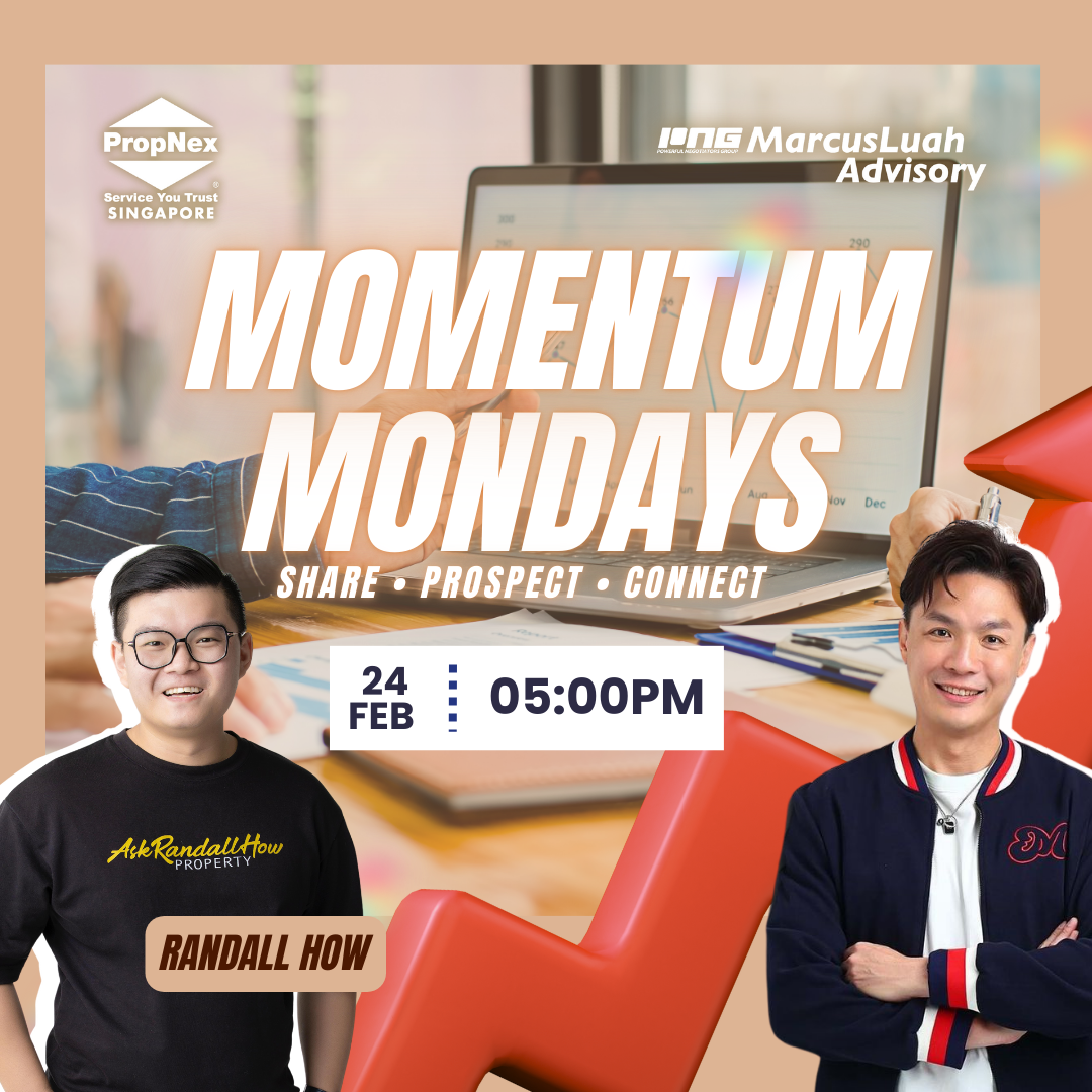 momemtum monday